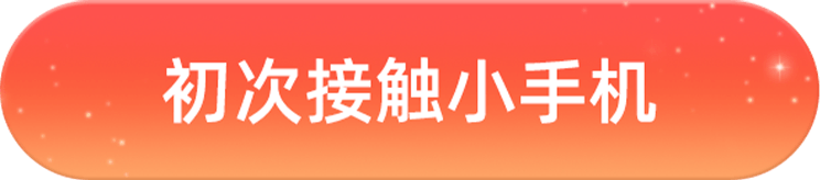 初次接触小手机